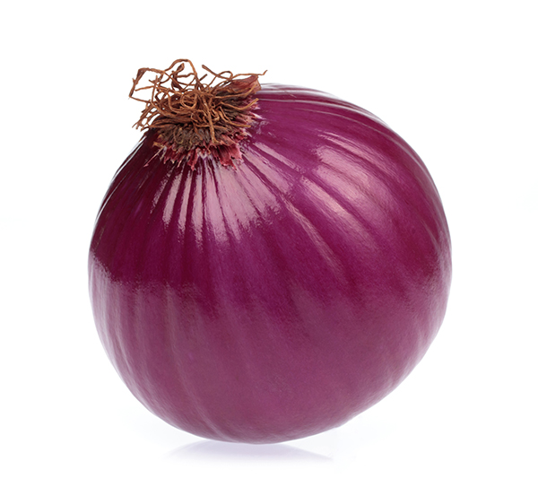 Cebola